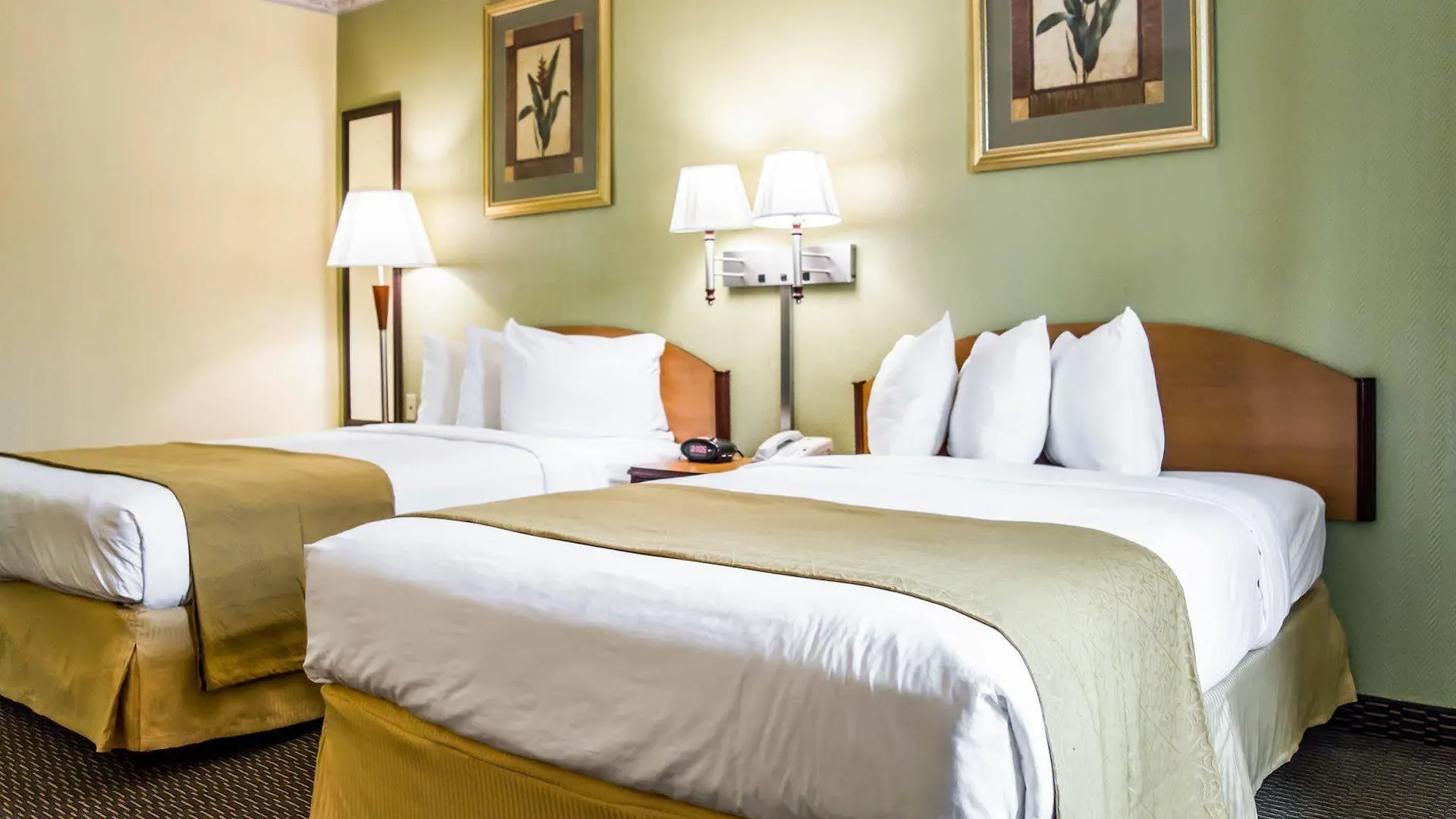 Quality Inn Airport - Cruise Port Tampa Estados Unidos