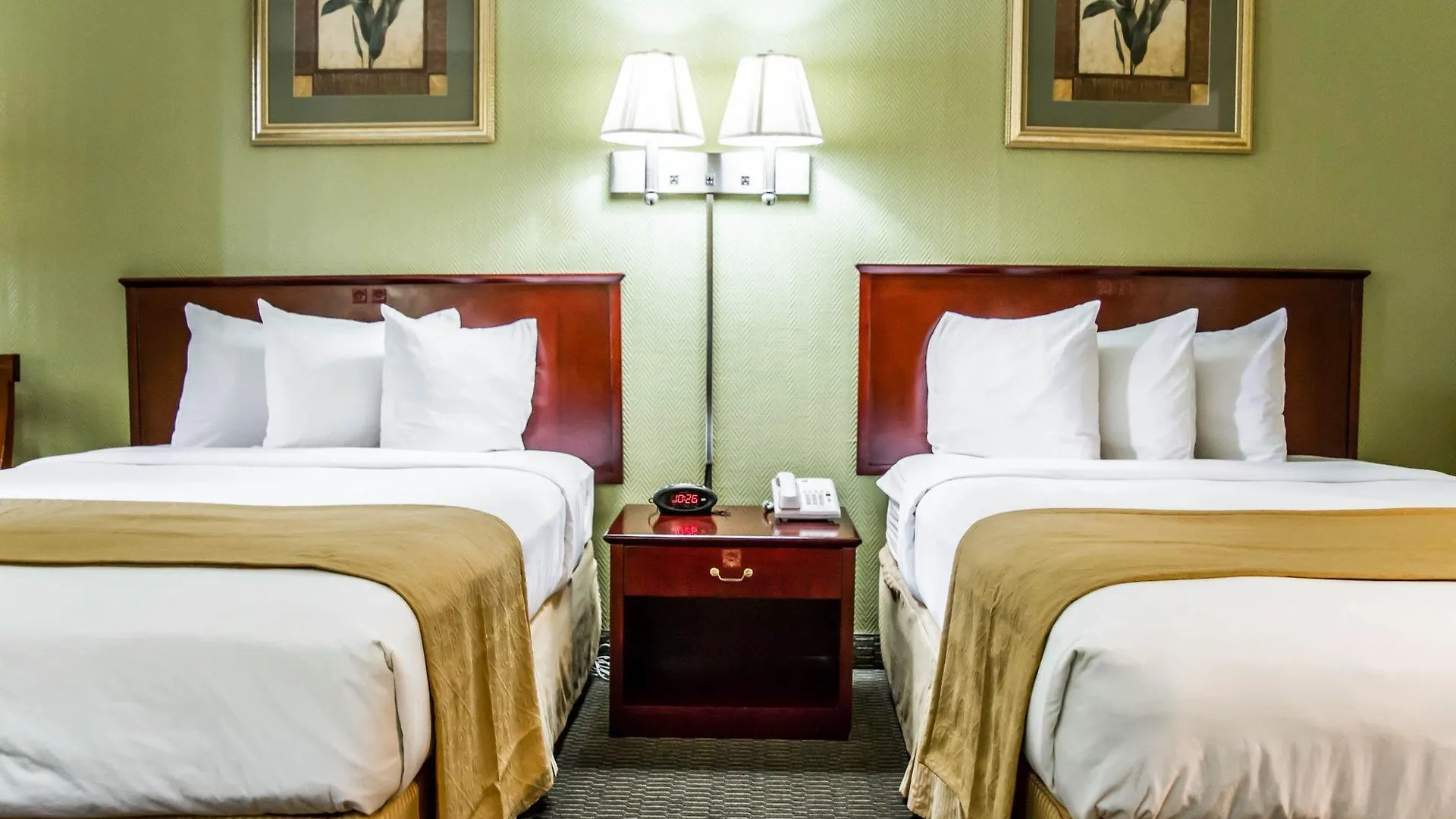 Quality Inn Airport - Cruise Port Tampa 2*,  Verenigde Staten