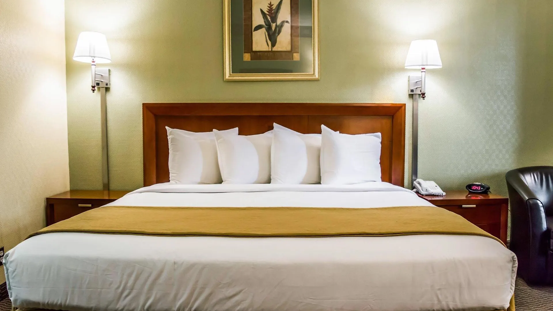 Quality Inn Airport - Cruise Port Tampa