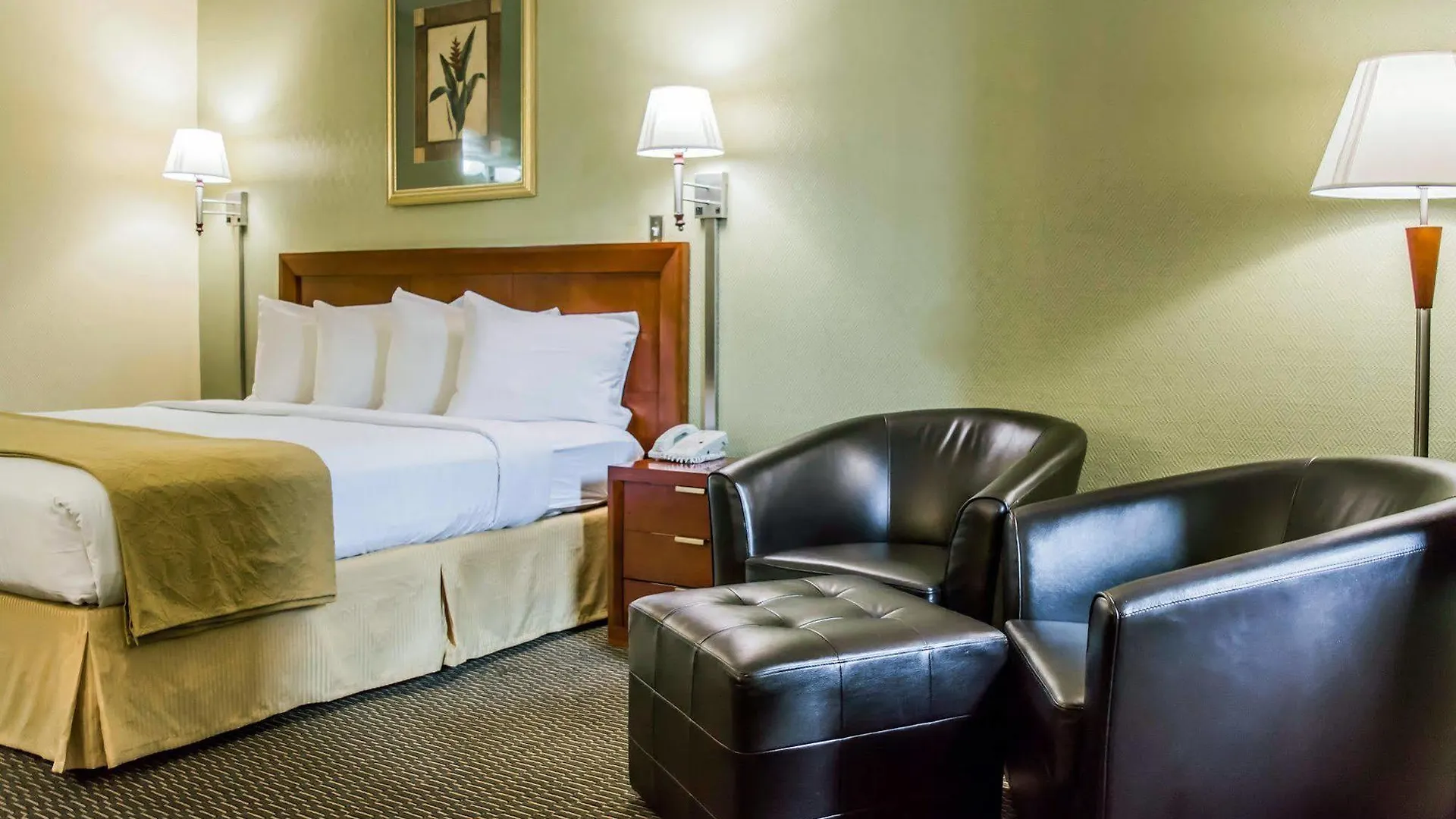 Quality Inn Airport - Cruise Port Tampa 2*,